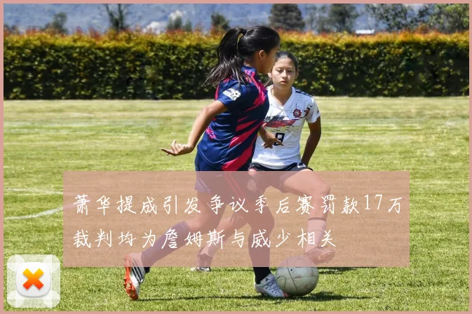 萧华提成引发争议季后赛罚款17万裁判均为詹姆斯与威少相关