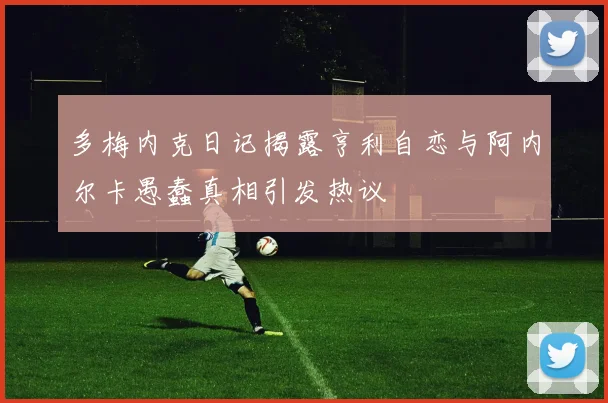多梅内克日记揭露亨利自恋与阿内尔卡愚蠢真相引发热议