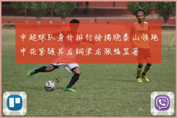 中超球队身价排行榜揭晓泰山领跑申花紧随其后铜梁龙涨幅显著